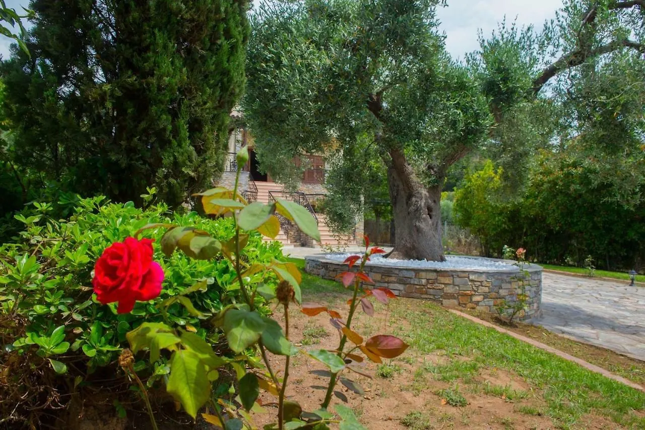 Villa Anna Nea Skioni 0*,  Greece